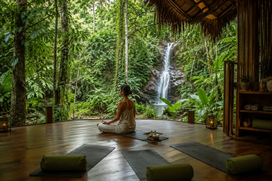 Rainforest Wellness Holidays